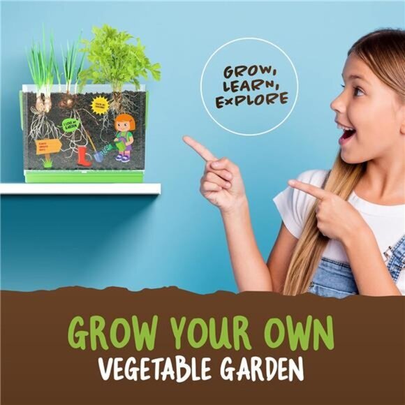 Root Viewer Kit‎ for Kids Grow Your Own Plant for Boys & Girls Science STEM Toy - Picture 4 of 7